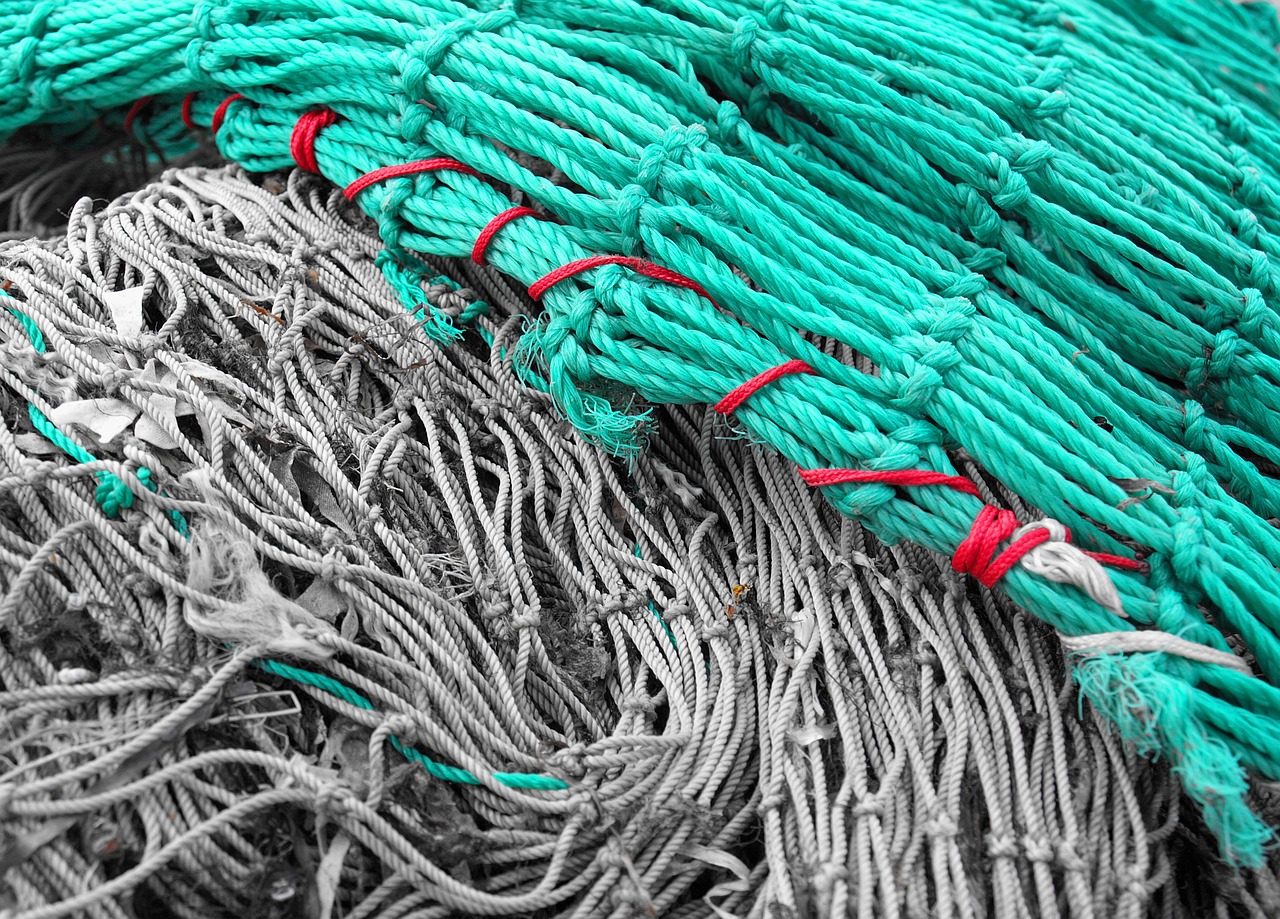 networks fishing nets fishing net free photo