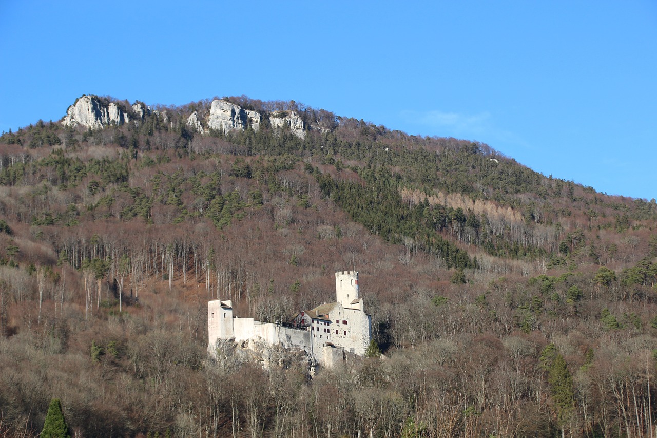 neu-bechburg castle switzerland free photo