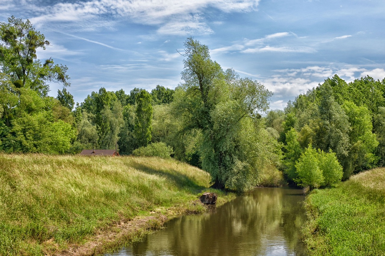 neuburg am rhein  green  nature free photo