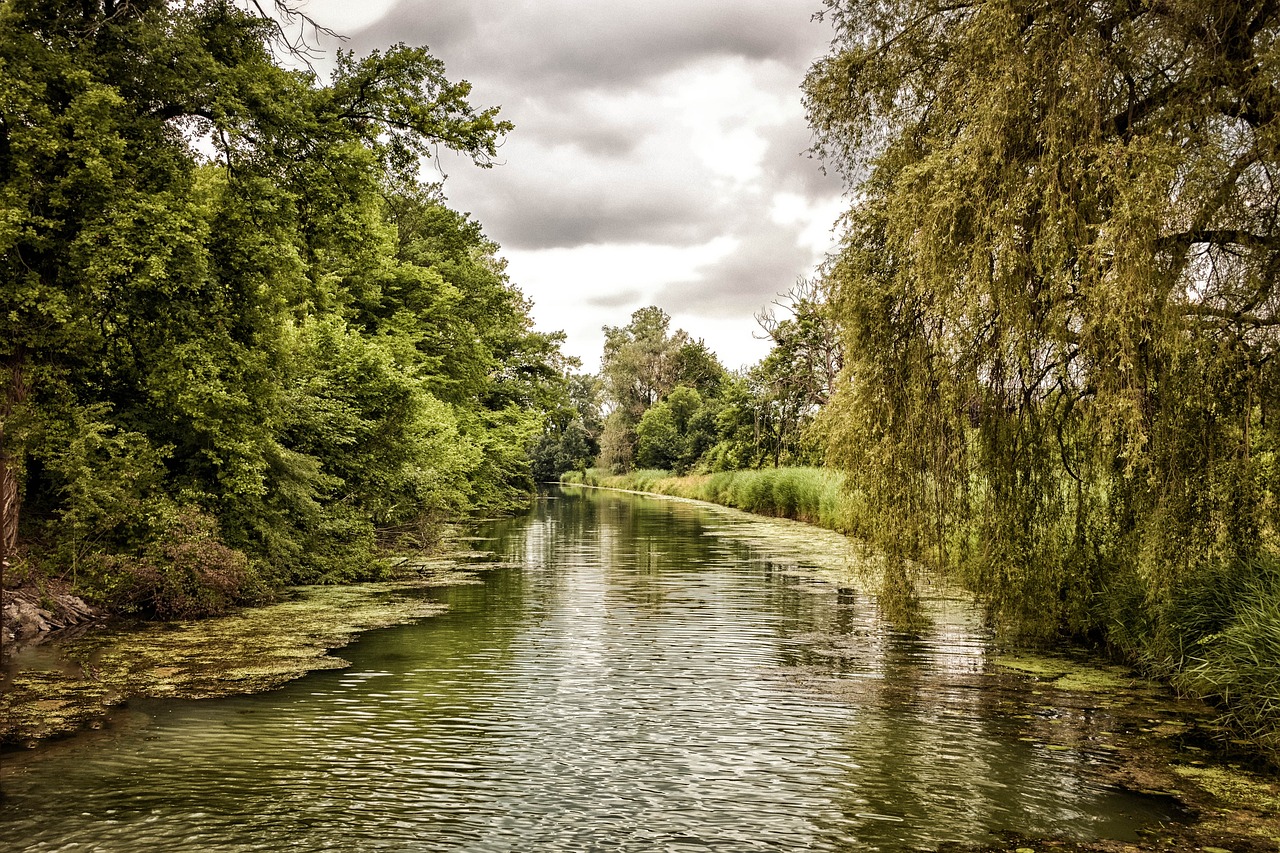 neuburg am rhein  green  hdr free photo