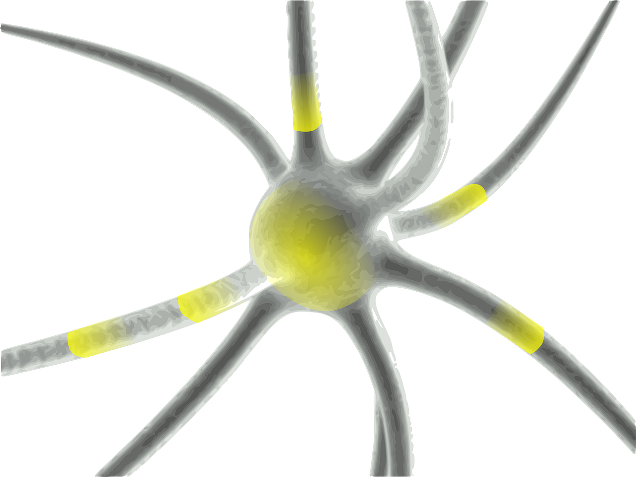neuron synapse science free photo