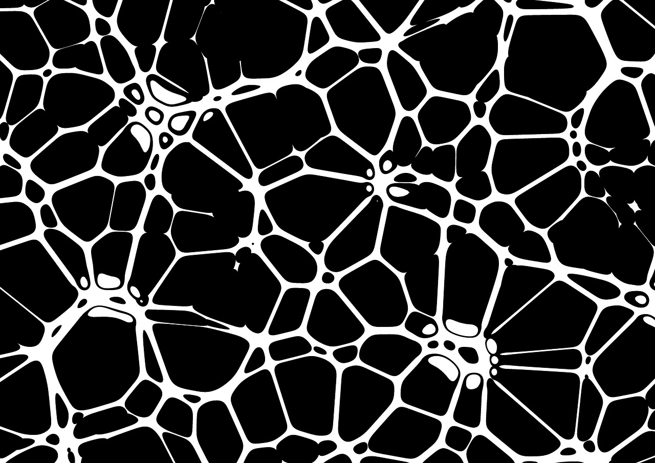 neurons braid network free photo