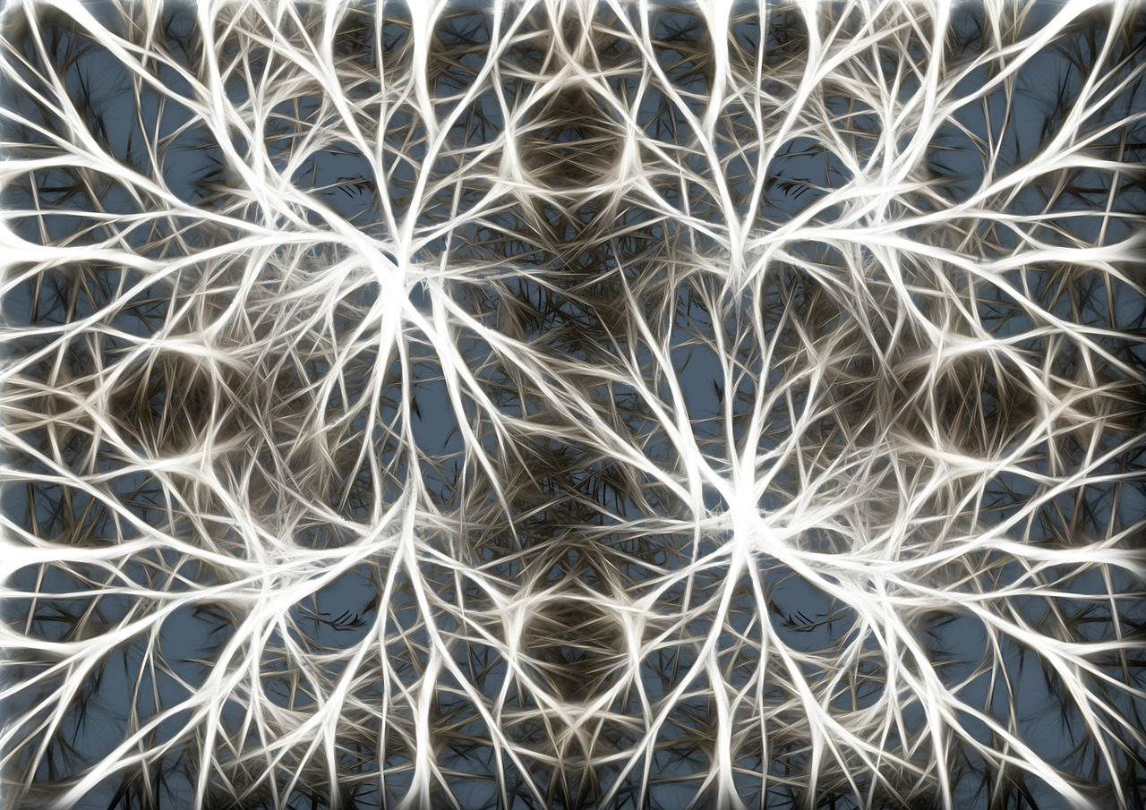 neurons brain cells brain structure free photo