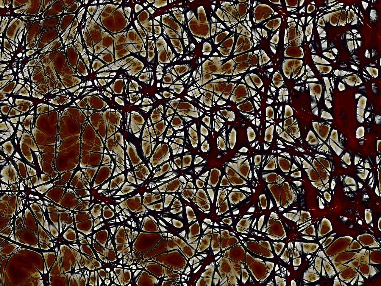 neurons brain cells nachahmnung free photo