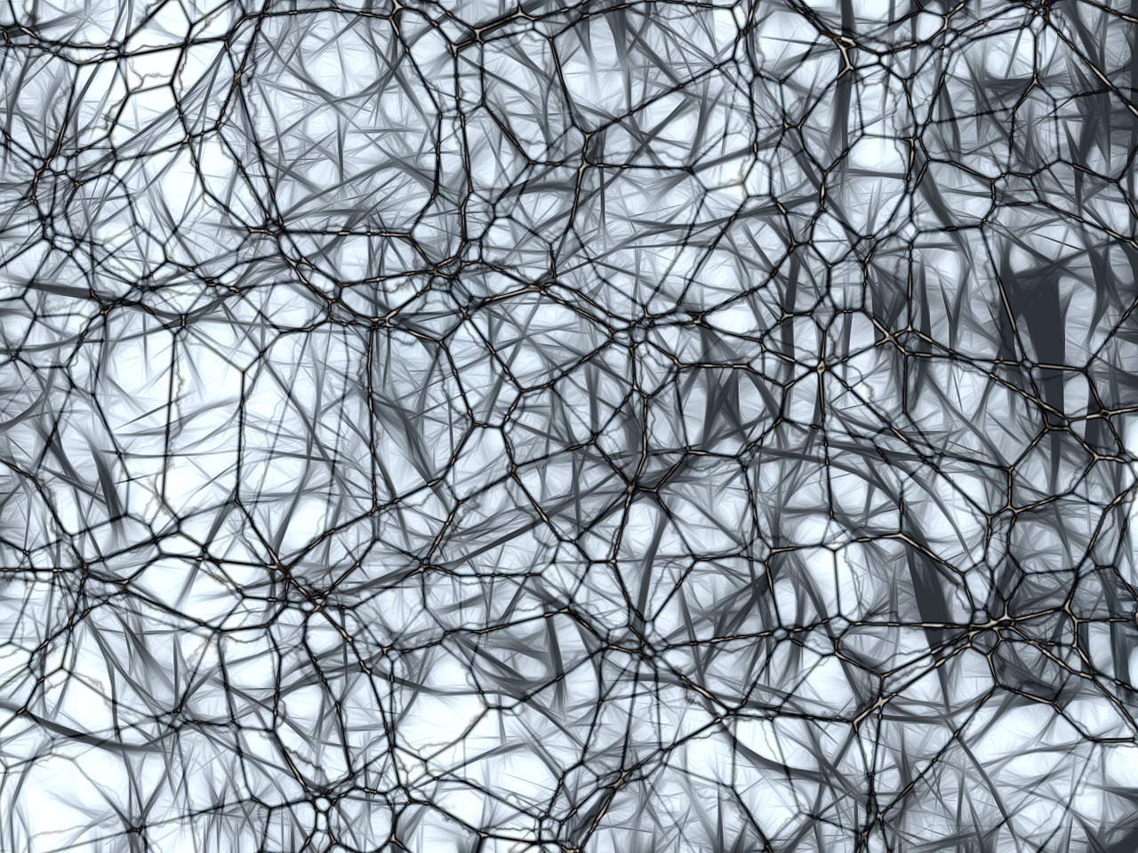 neurons brain cells nachahmnung free photo