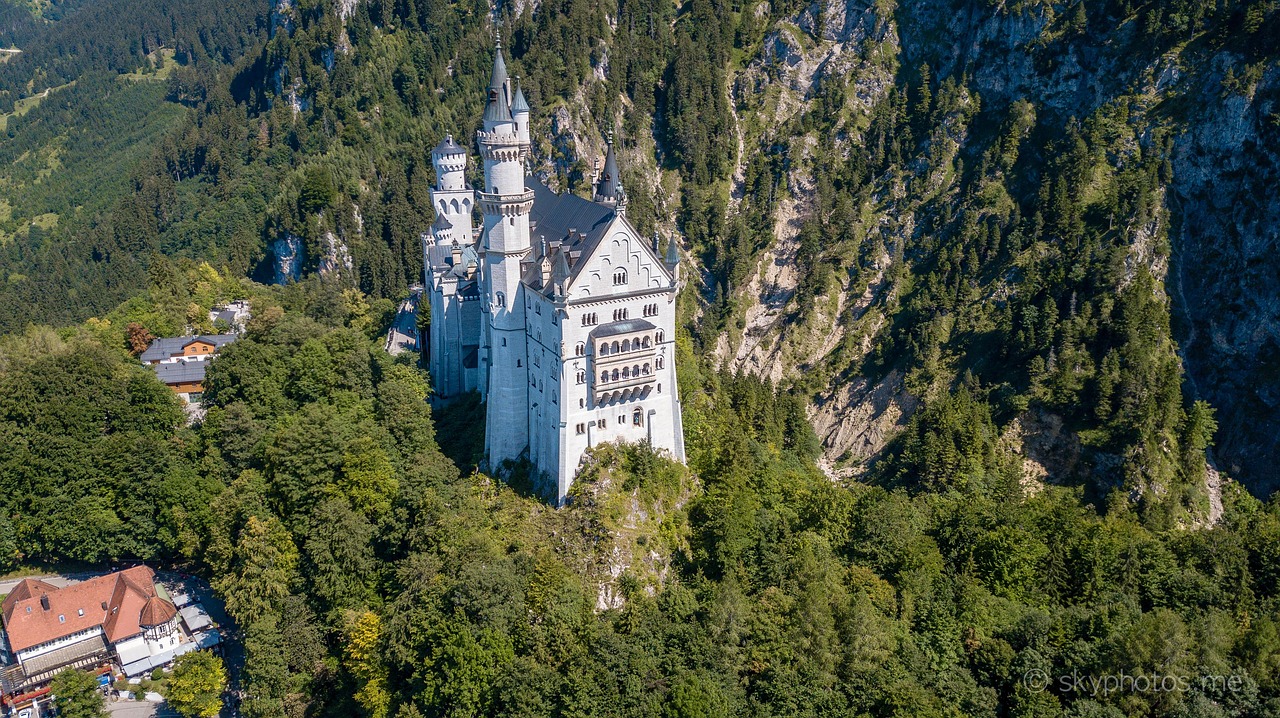 neuschwanstein  castle  drone free photo