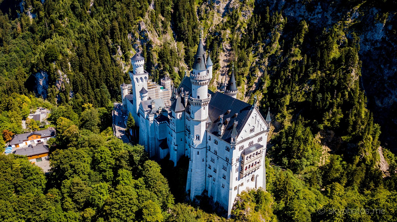 neuschwanstein  castle  drone free photo