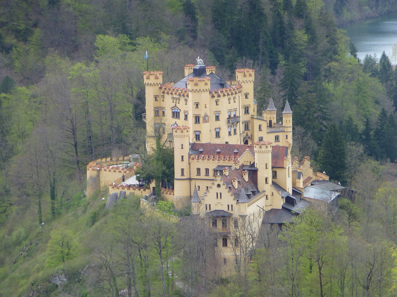 neuschwanstein castle bavaria free photo