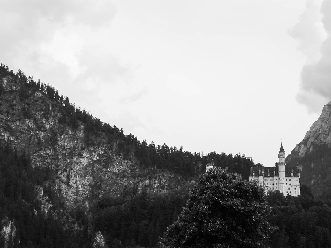 neuschwanstein castle bavaria germany free photo