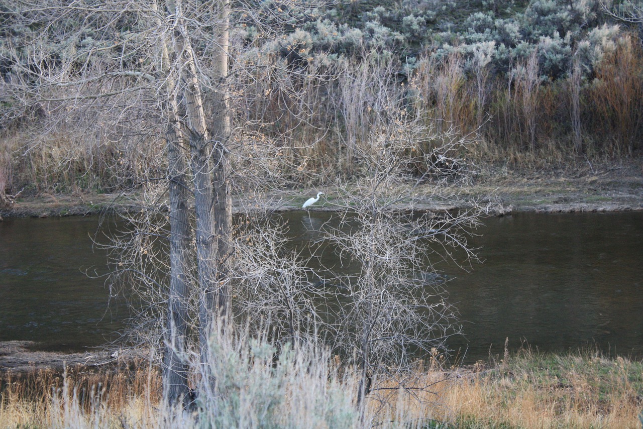 nevada river landscape free photo