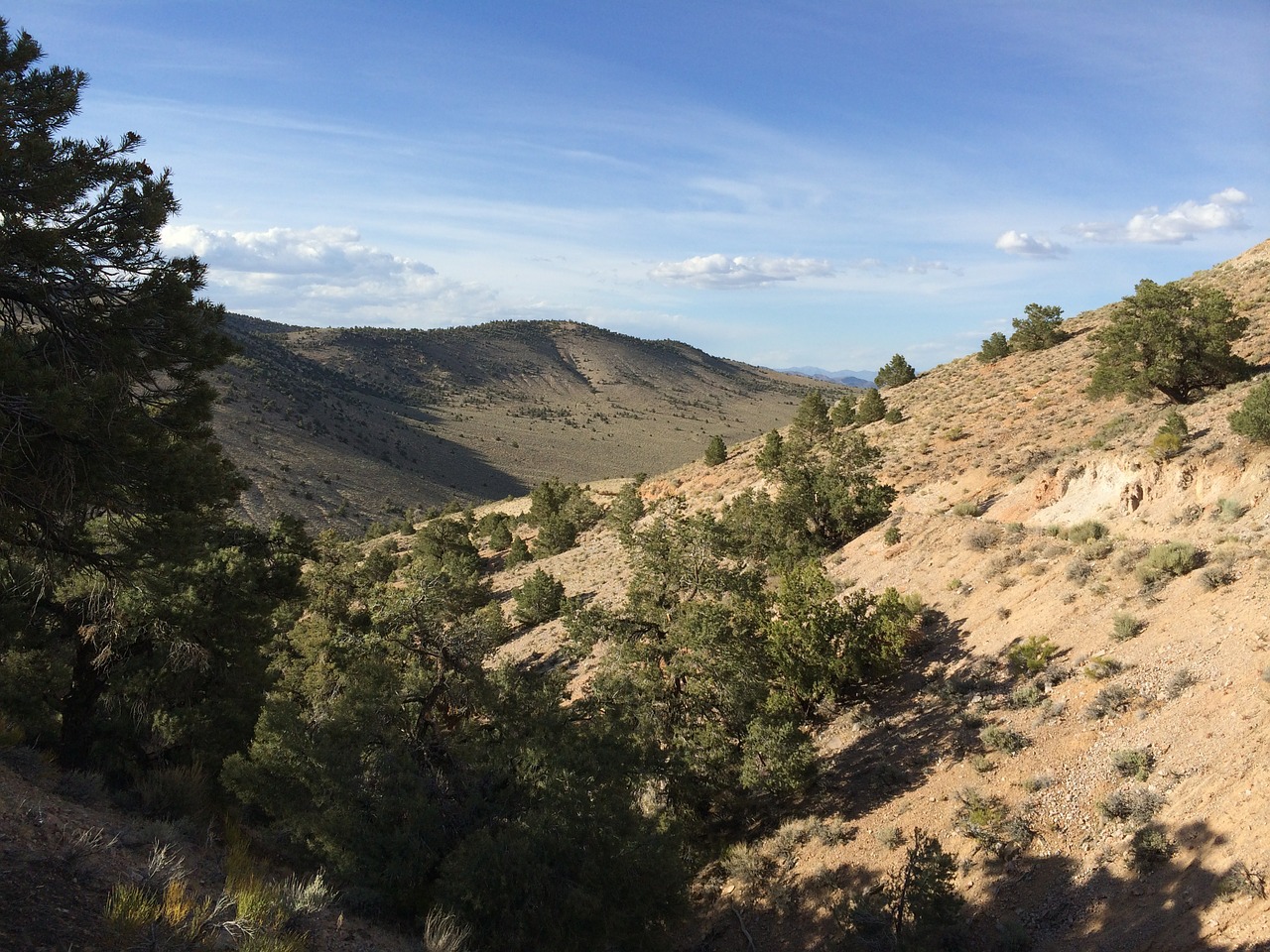 nevada white mountains desert free photo