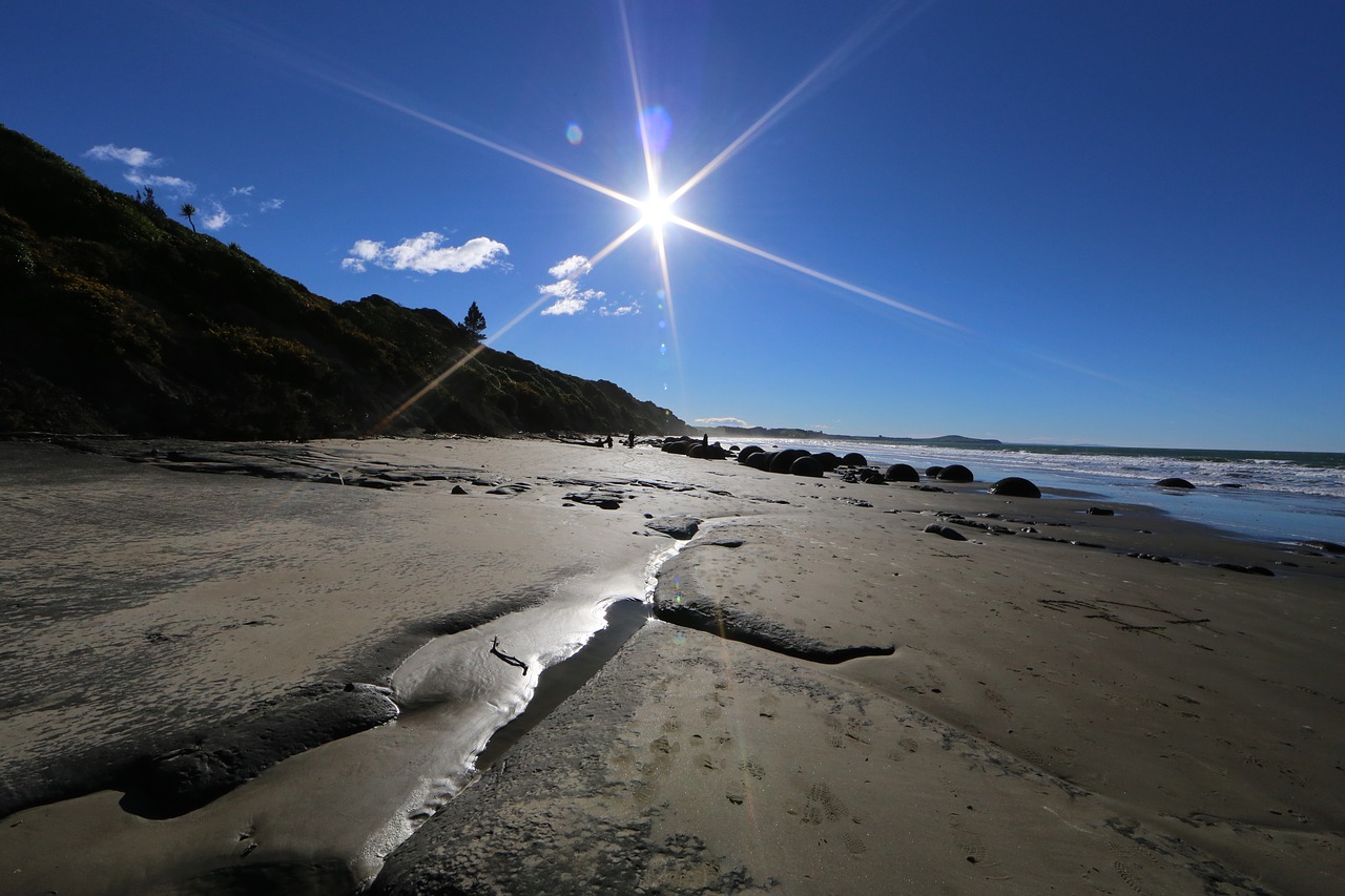 new zealand beach free photo