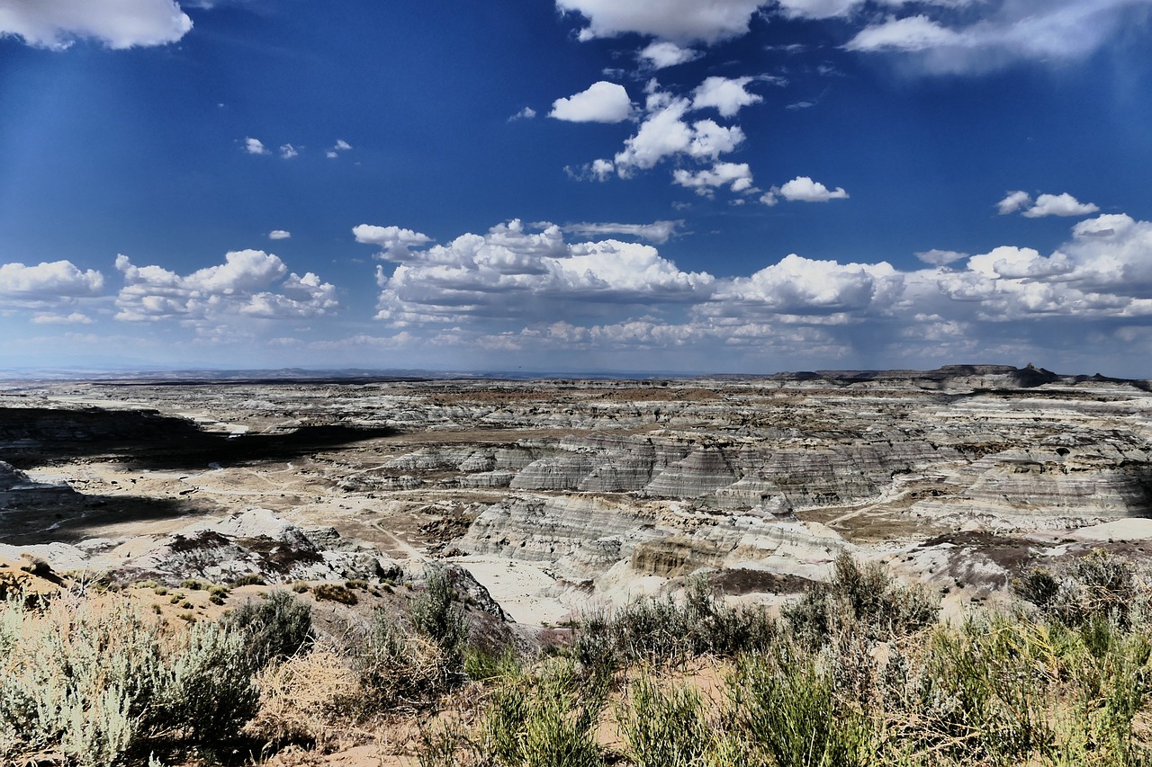 new mexico desert free photo