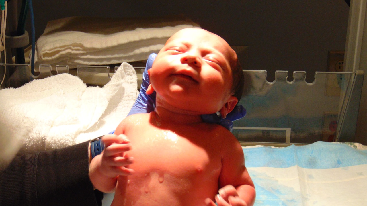 new born infant birth free photo