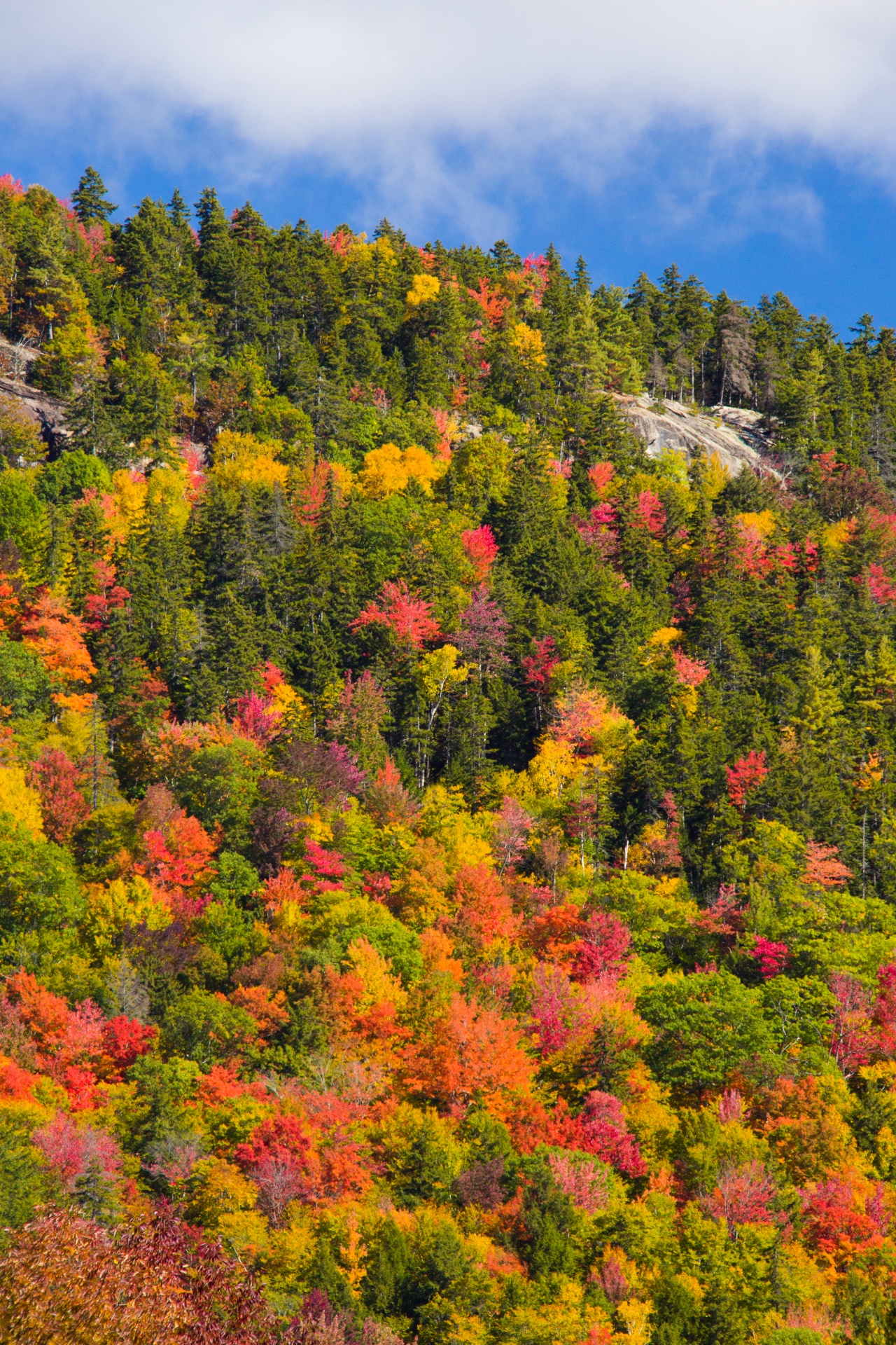 america autumn colorful free photo