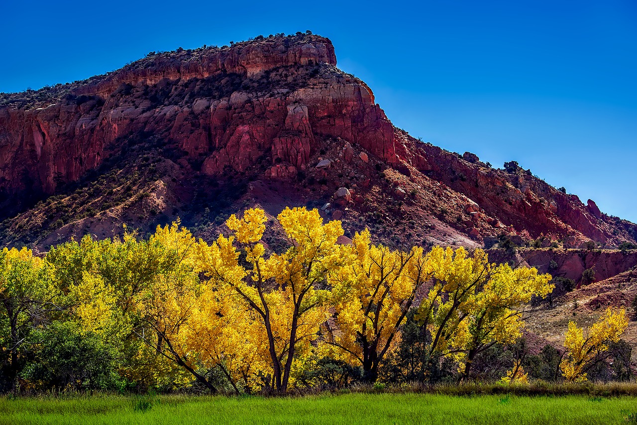 new mexico fall autumn free photo