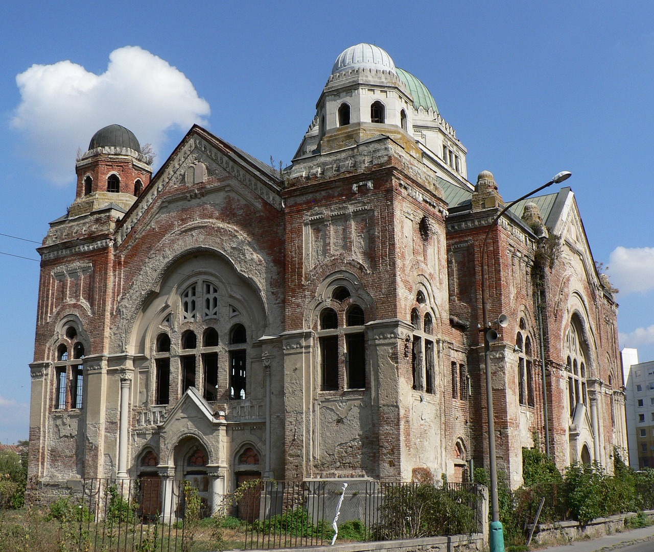 new synagogue basket case history free photo