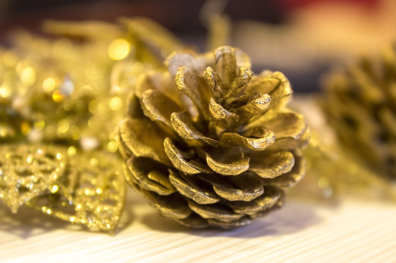 pine cone gold decoration free photo