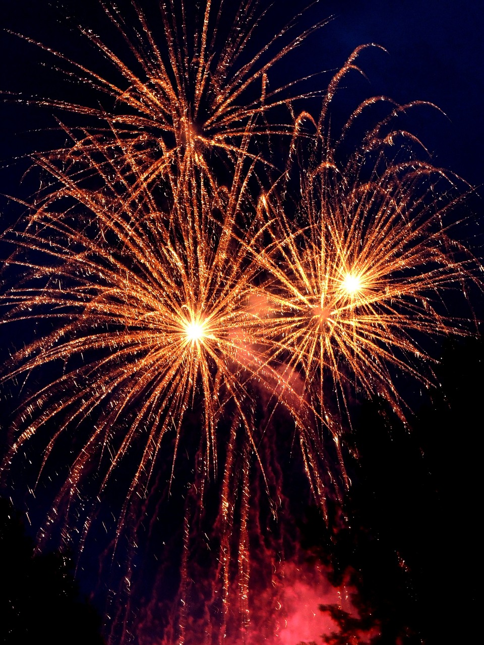 new year december 31 fireworks free photo