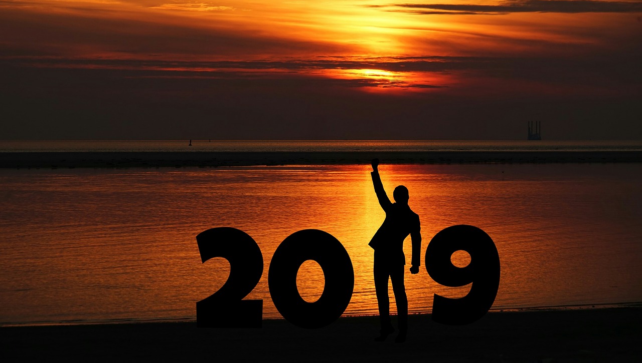 new year  2019  business man free photo