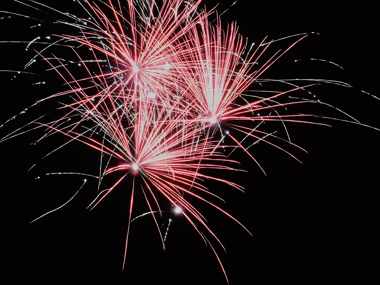 new year's day sky fireworks free photo