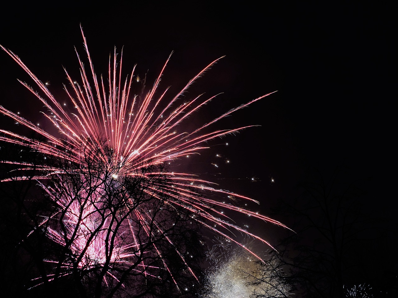 fireworks sky new year's day free photo