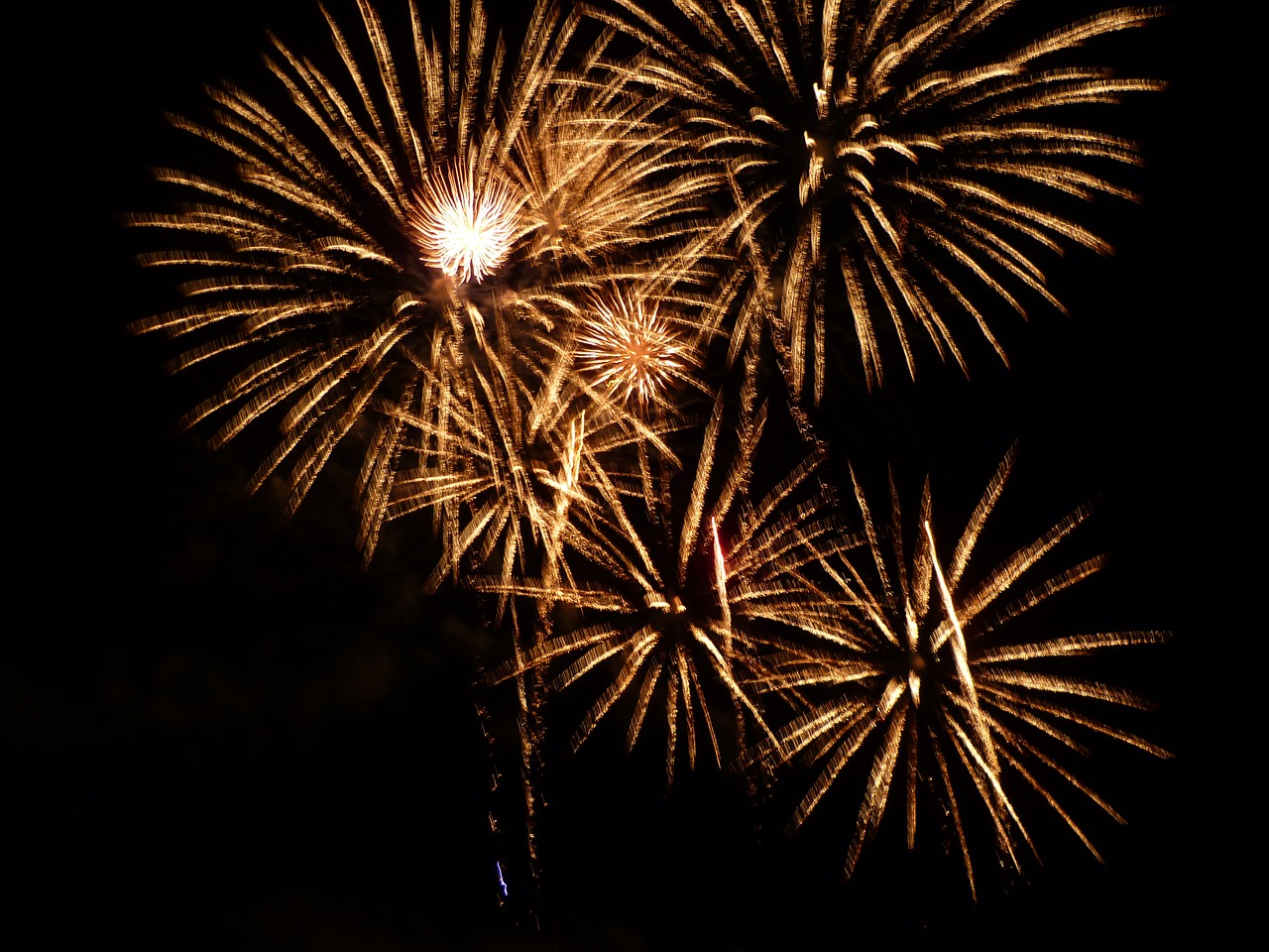 new year's eve fireworks sky free photo