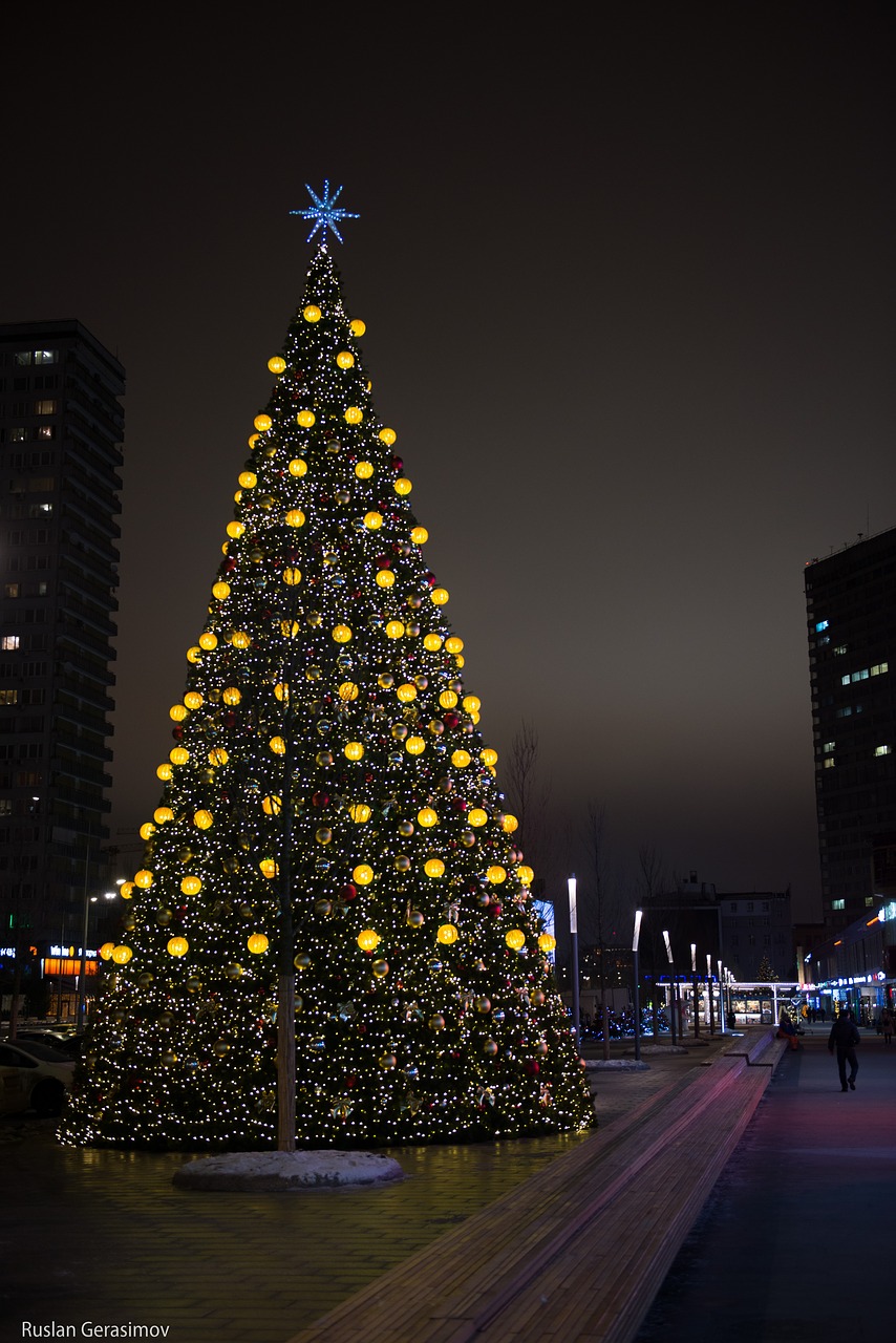 new year's eve holiday christmas tree free photo