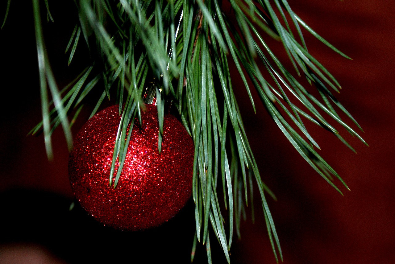 new year's eve  christmas tree  christmas free photo
