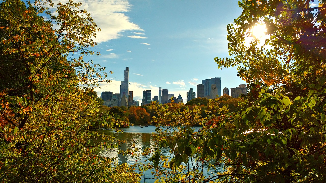 new york central park nyc free photo