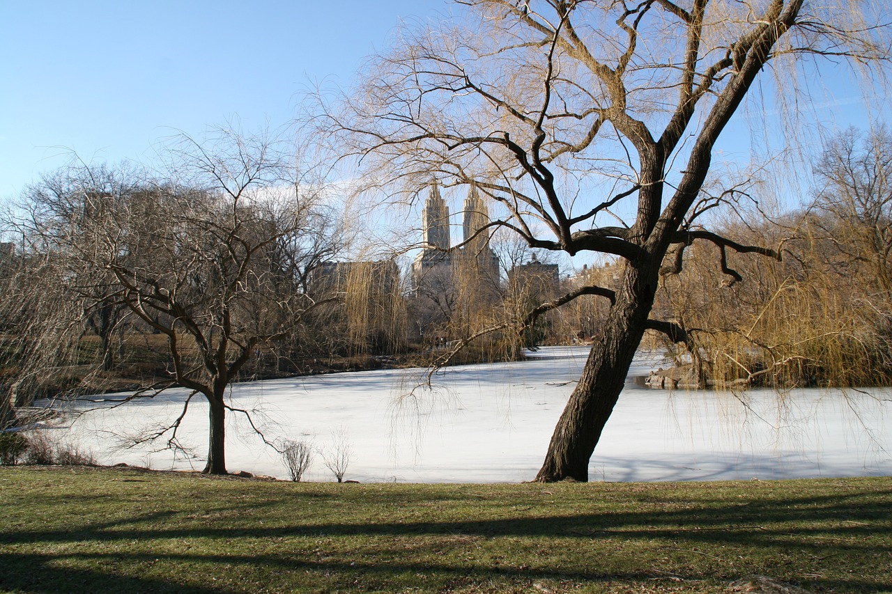 central park new york winter free photo