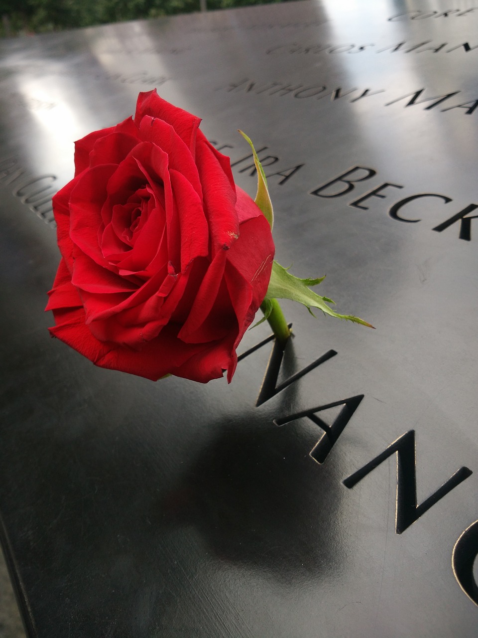 new york manhattan 911 memorial plaza free photo