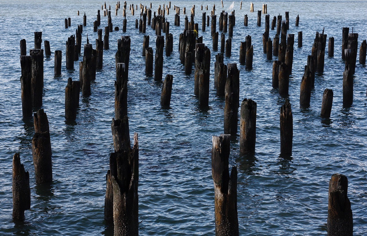 new york docks city free photo