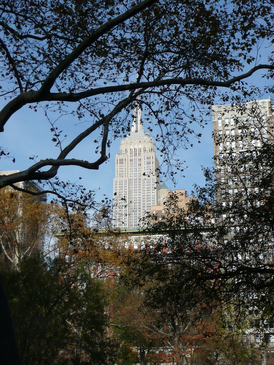 new york empire state skyscraper free photo