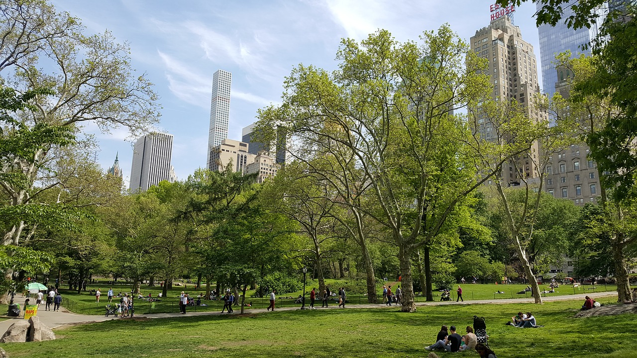 new york view central park free photo