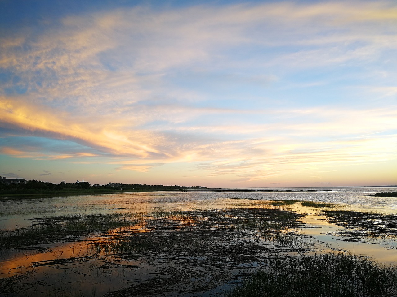 new york south hampton wetlands free photo