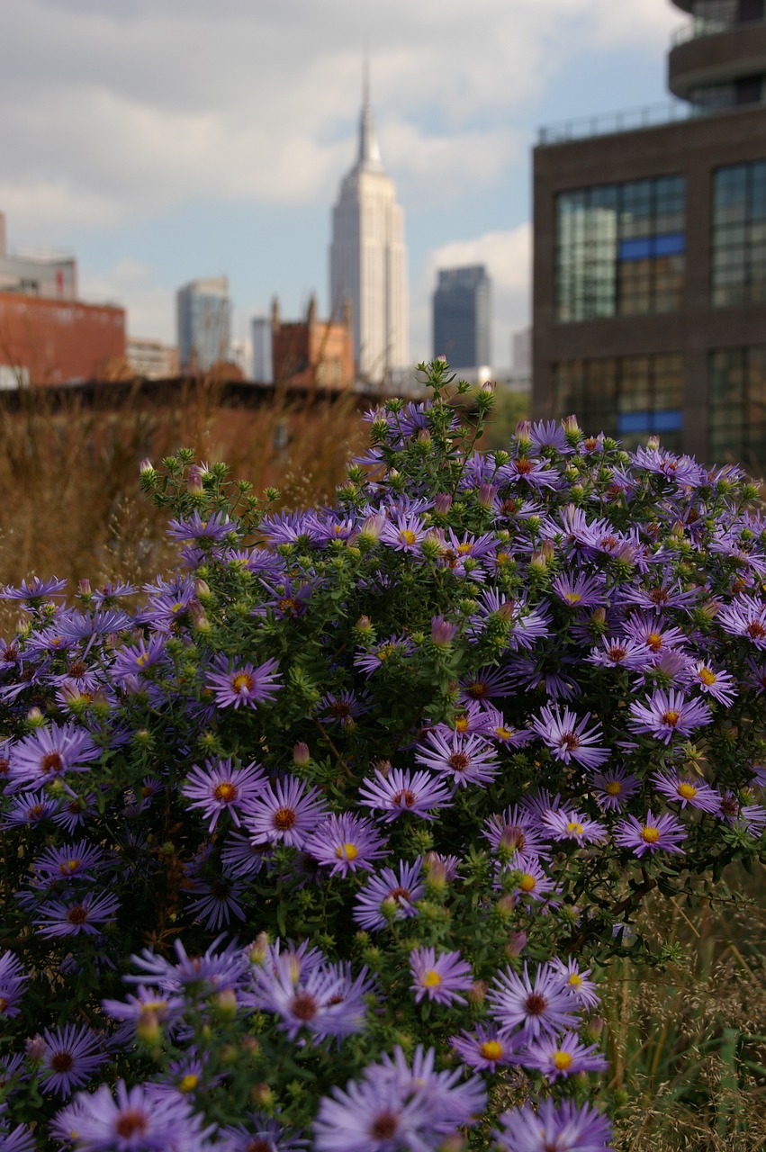 new york  high line  empire state building free photo