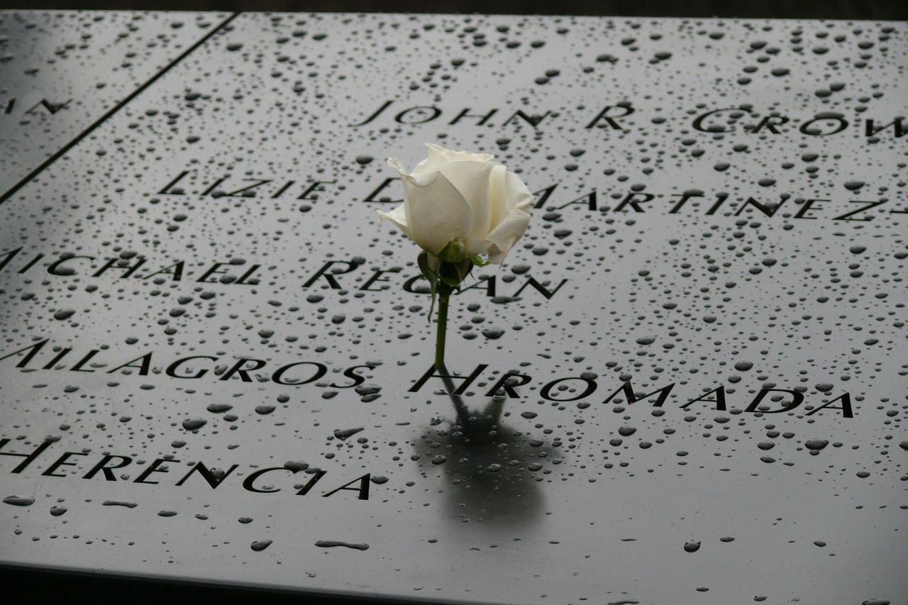 new york  mourning  rose free photo