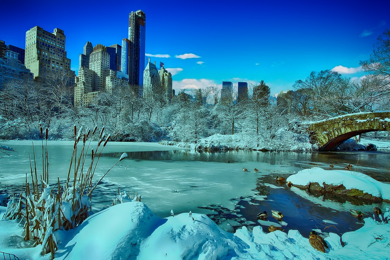 new york  central park  winter free photo