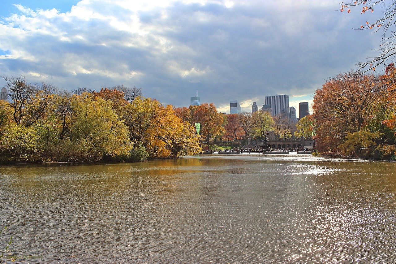 new york manhattan central park free photo