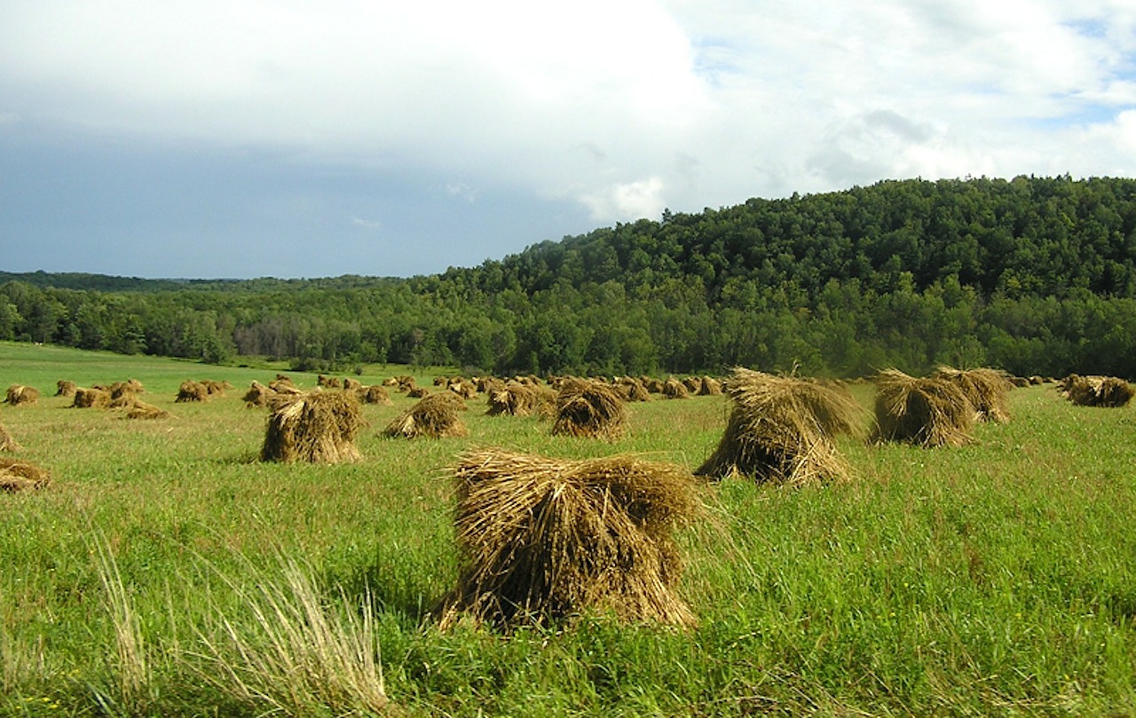 new york landscape mountains free photo