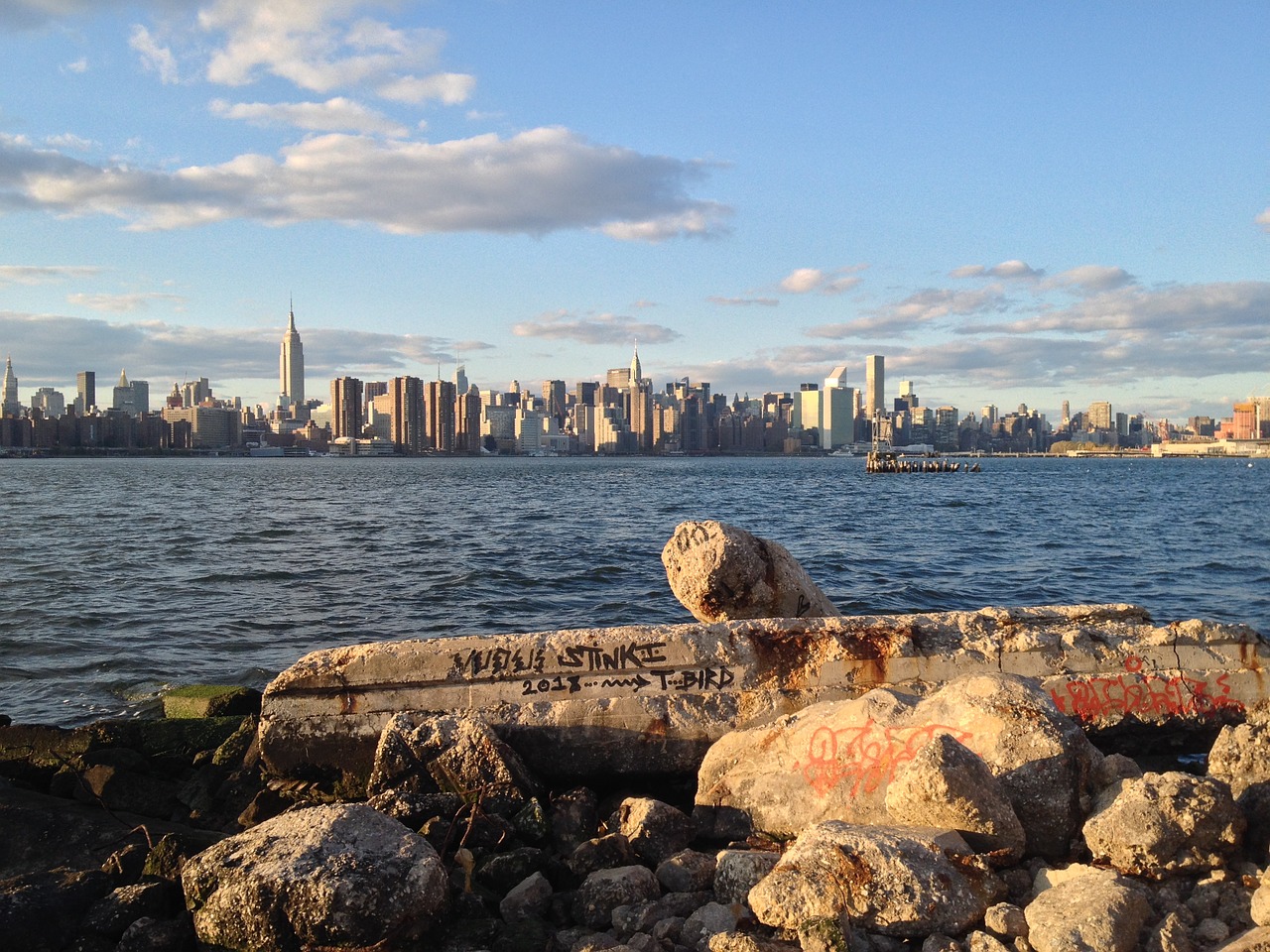 new york skyline brooklyn free photo