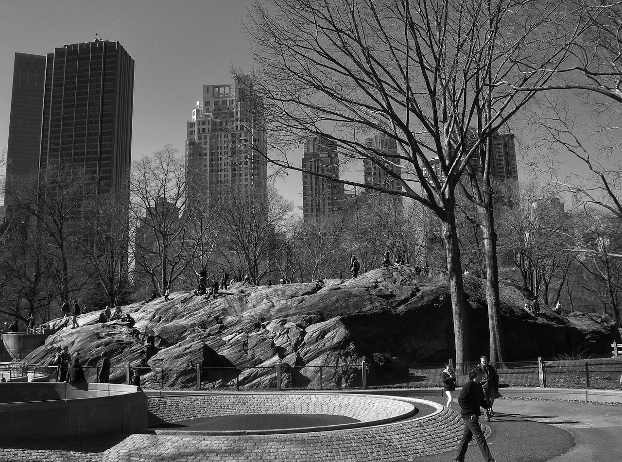 new york city central park black and white free photo