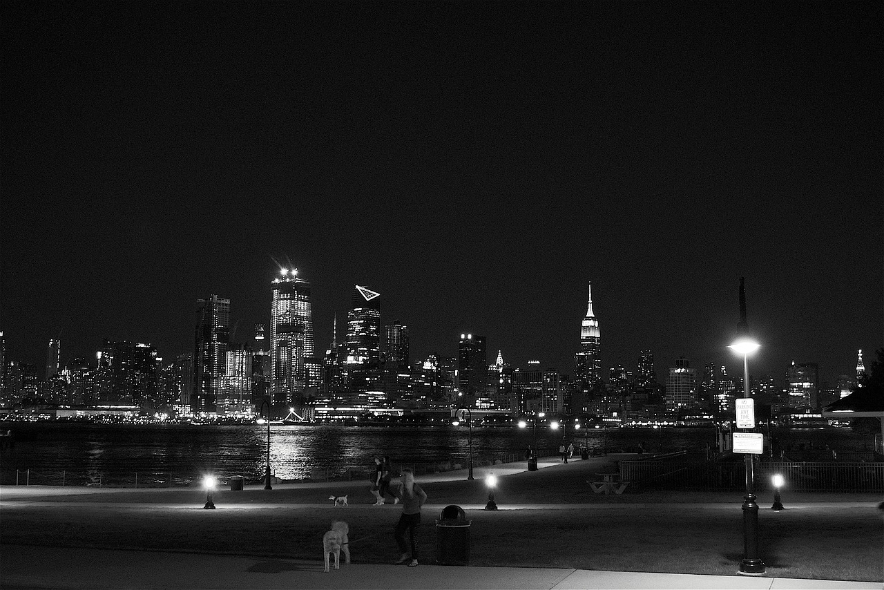 new york city skyline night free photo