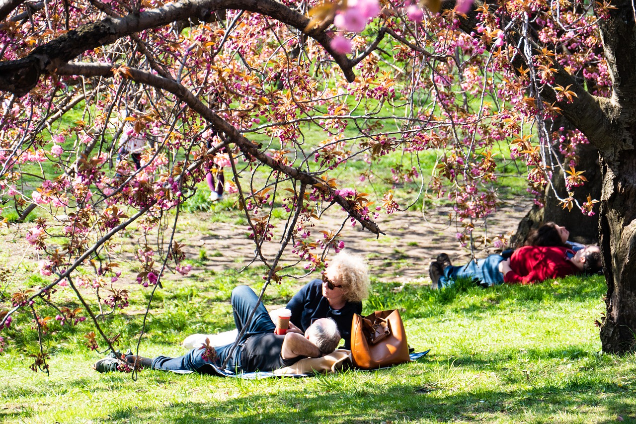 new york city  central park  relaxation free photo