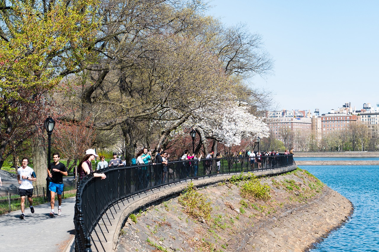 new york city  central park  spring free photo