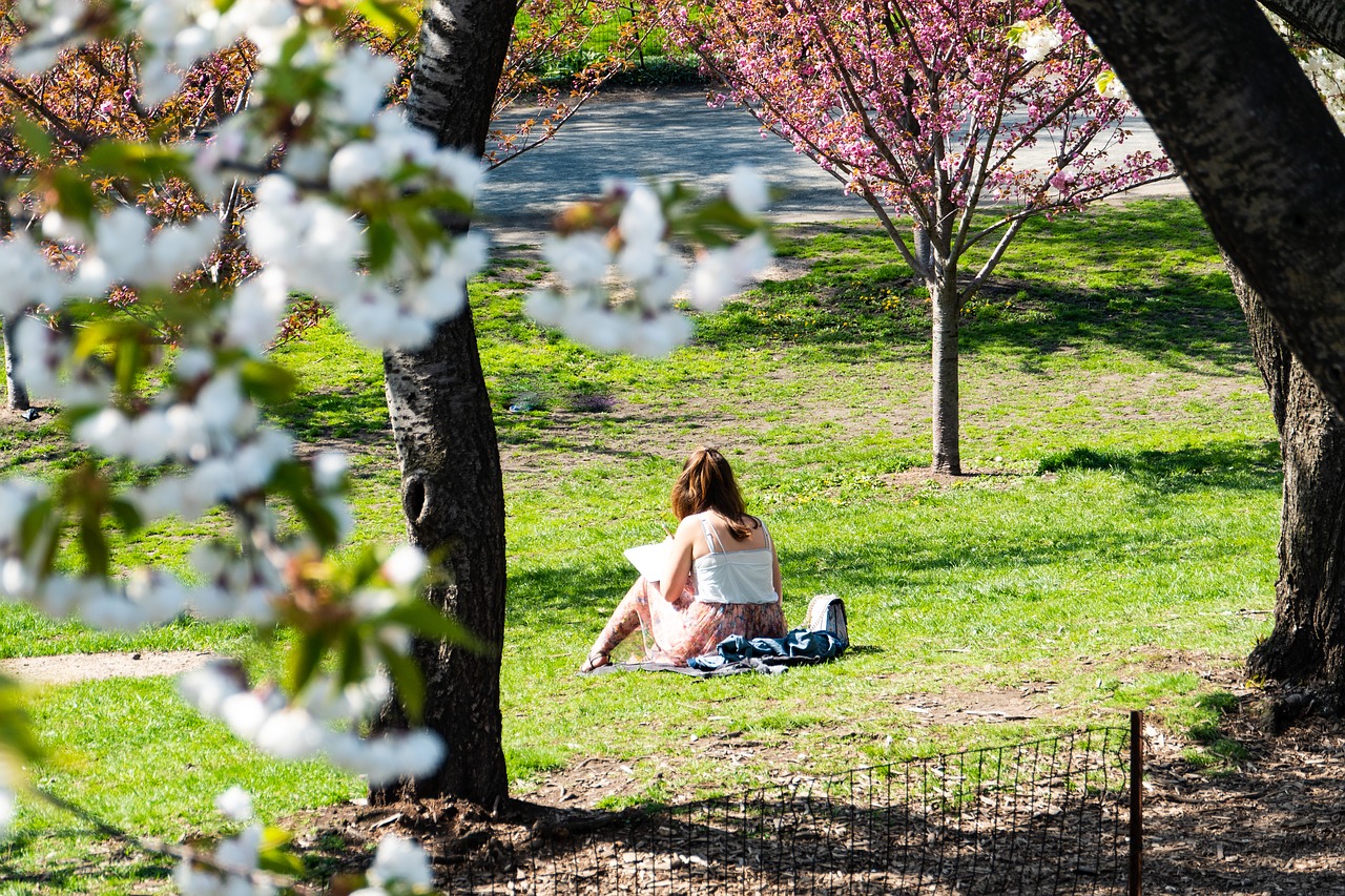 new york city  central park  relaxation free photo