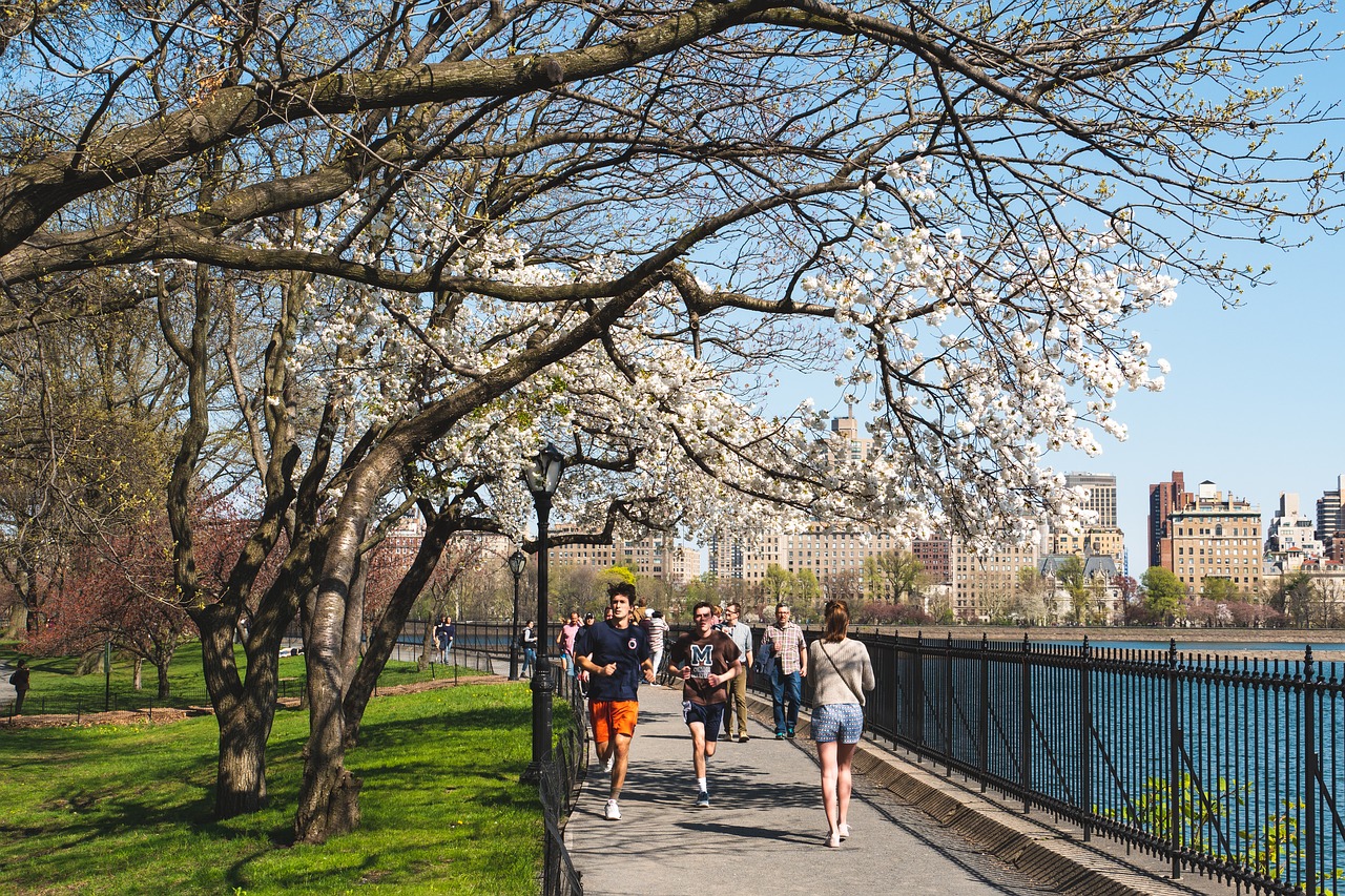 new york city  central park  spring free photo