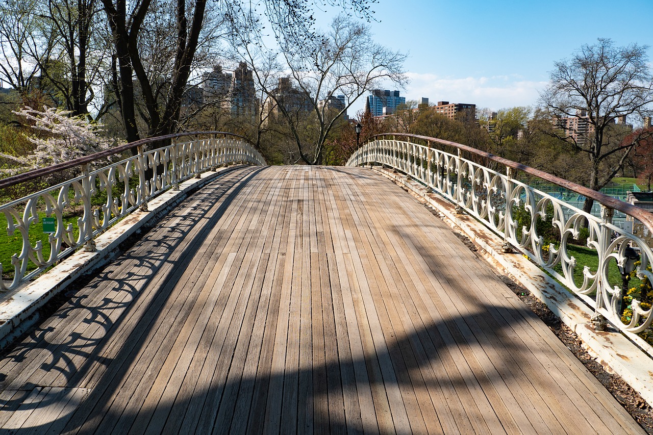 new york city  central park  bridge free photo