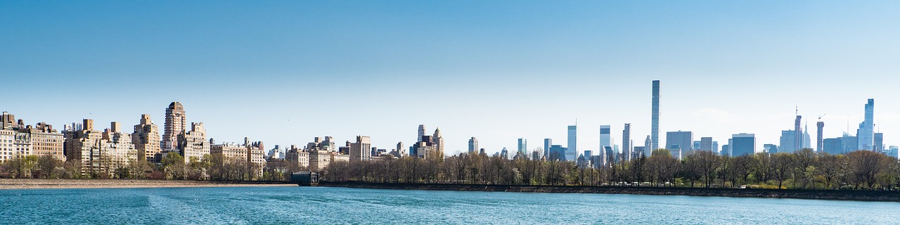 new york city  central park  panorama free photo